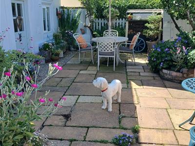 Picture 25